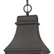 Forged Jefferson 3 Light 9 inch Charcoal Outdoor Pendant