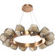 Gem LED 36 inch Novel Brass Chandelier Ceiling Light in Bronze, 2700K LED, Radial Ring