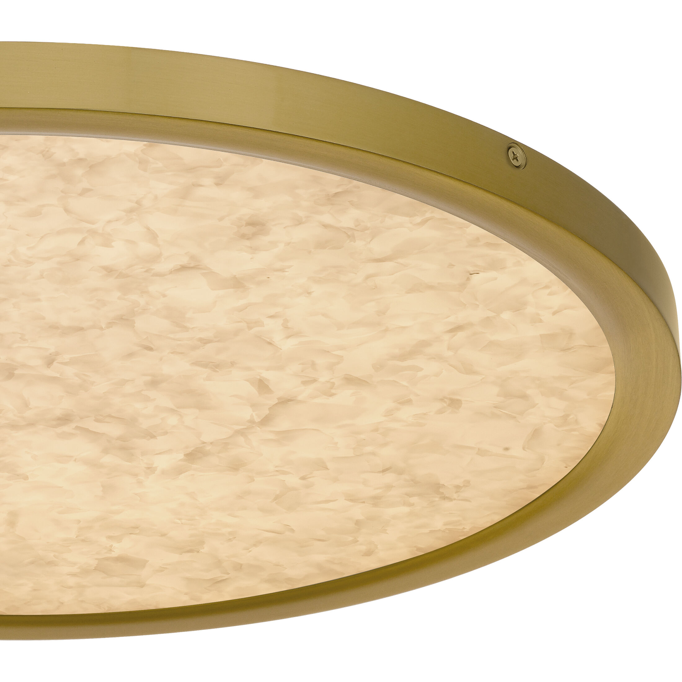 Outskirts LED 20 inch Brushed Gold Flush Mount Ceiling Light, Large