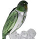 Parrot Green and White Objects