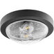 Fort Worth 2 Light 11 inch Noir Flush Mount Ceiling Light