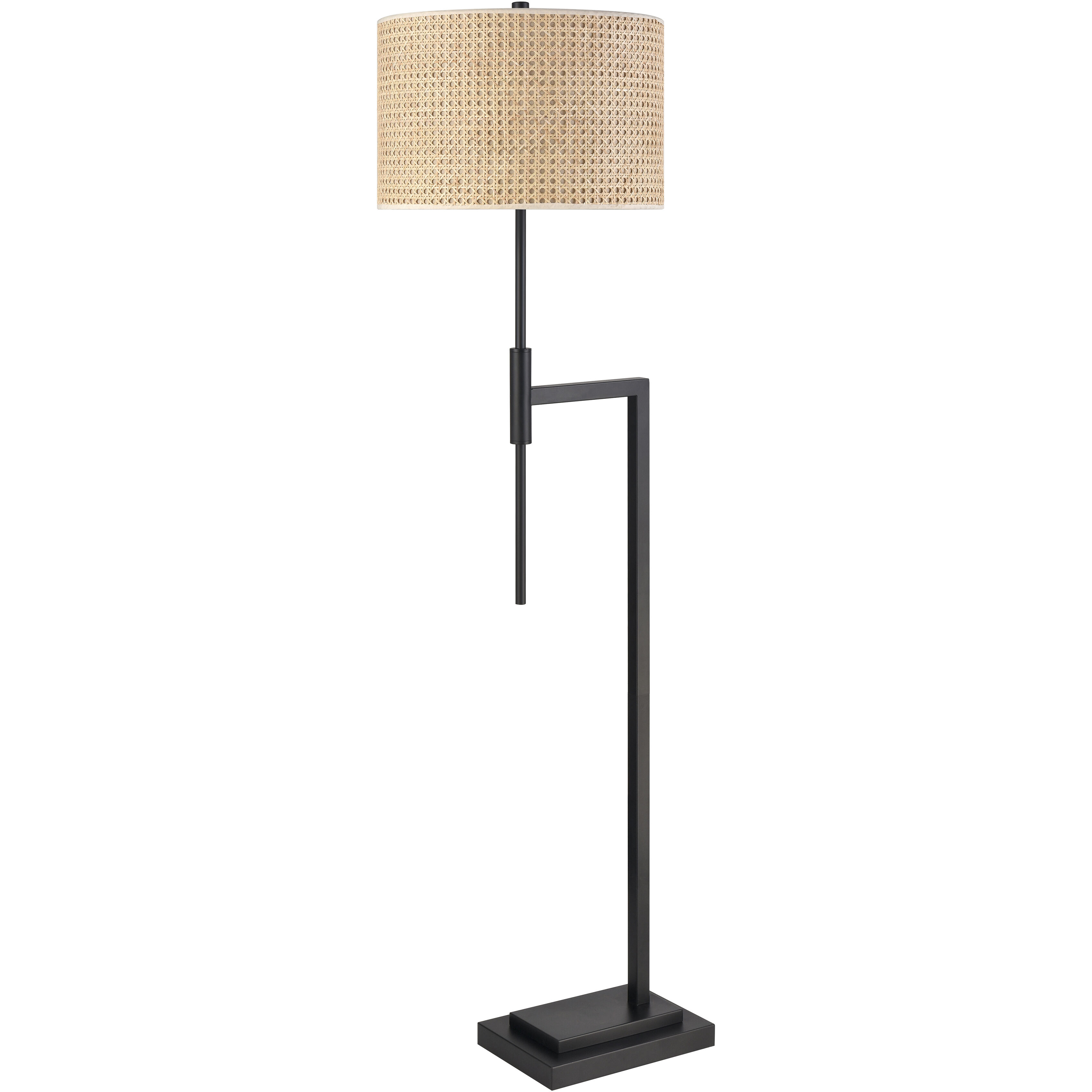 Baitz 62.5 inch 150 watt Matte Black Floor Lamp Portable Light
