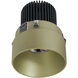 Iolite Champagne Haze Recessed Light in 4000K, 850