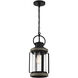 Parker 1 Light 8.5 inch Lodge Outdoor Hanging Lantern