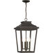 Great Outdoors Irvington Manor 4 Light 12.5 inch Chelesa Bronze Outdoor Chain Hung in Incandescent, Clear Glass, Large