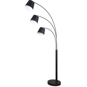 Quana 78 inch 13.00 watt Black Arc Lamps Portable Light