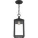 Nyack 1 Light 6 inch Black with Brushed Nickel Cluster Outdoor Pendant Lantern