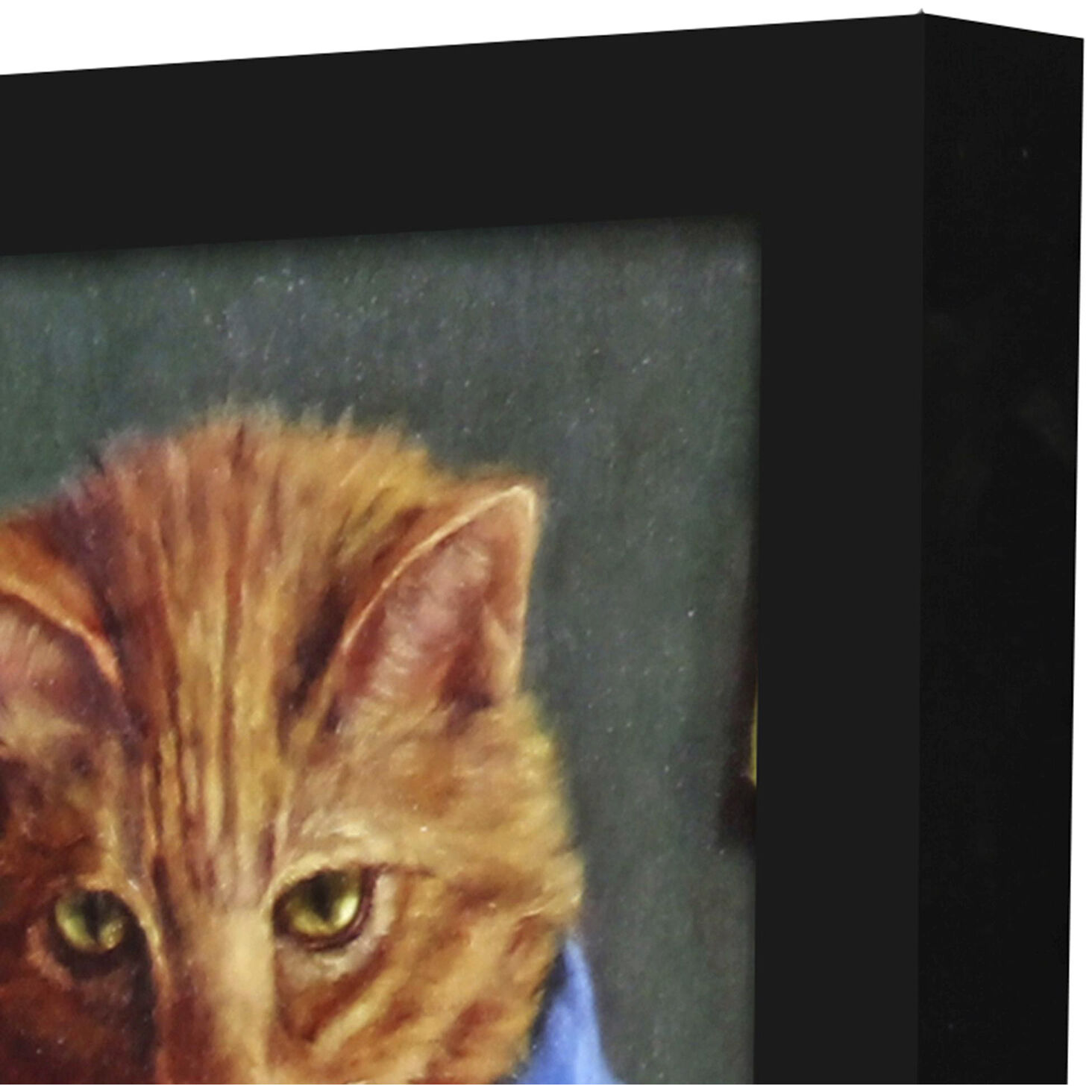 Animals 11 X 9 inch Non-Glass Framed Art, Propac