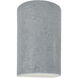 Ambiance Collection LED 12.5 inch Concrete Outdoor Wall Sconce