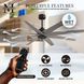 Atlas Ariella 64 inch Matte Black with Brushed Nickel Blades Ceiling Fan