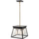 Lucian LED 12 inch Black and Brushed Brass Chandelier Ceiling Light