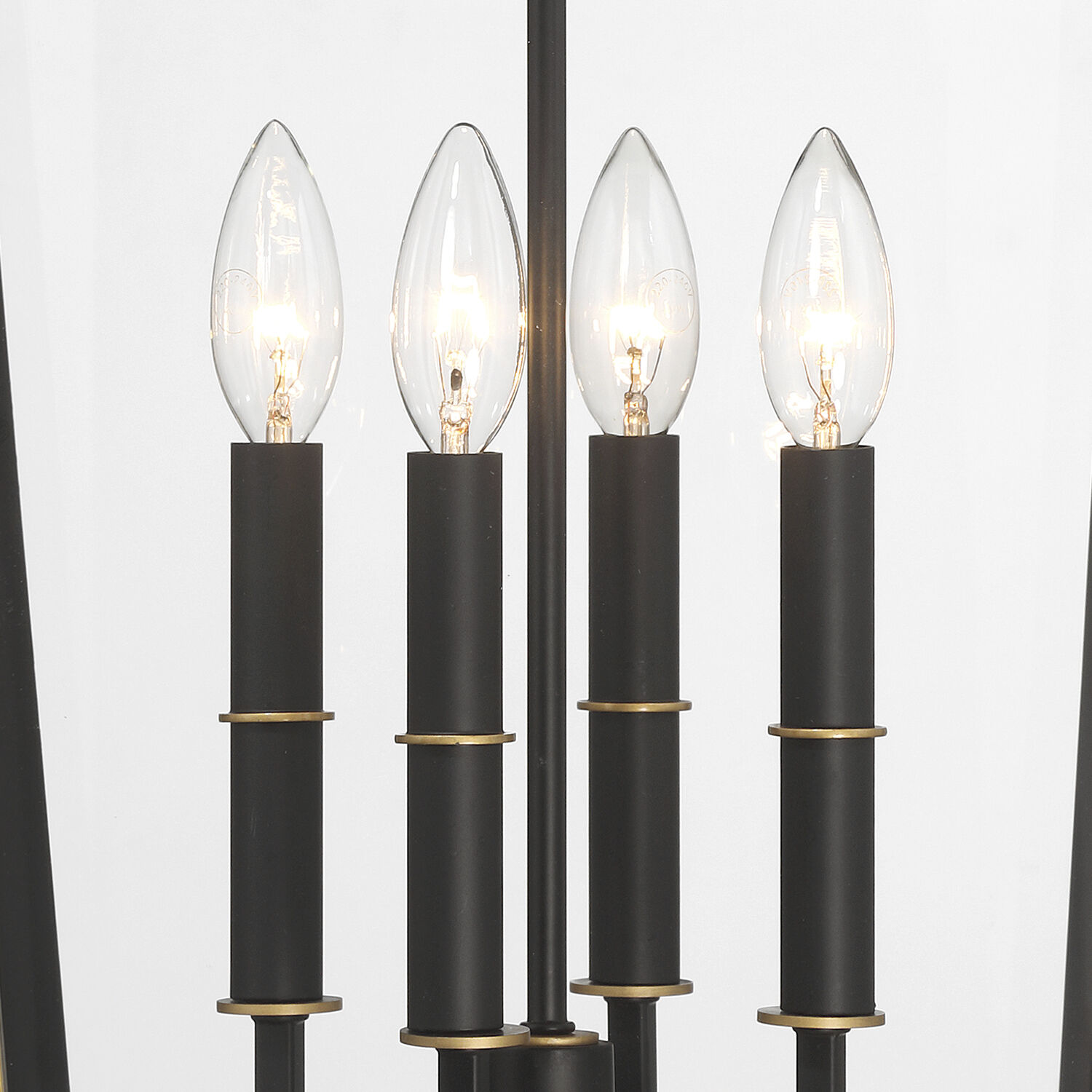 Hawkins Wall Sconce Wall Light in Matte Black and Textured Gold