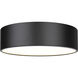 Harley 4 Light 20 inch Matte Black Flush Mount Ceiling Light