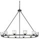 Cadence 12 Light 48 inch Black Chandelier Ceiling Light