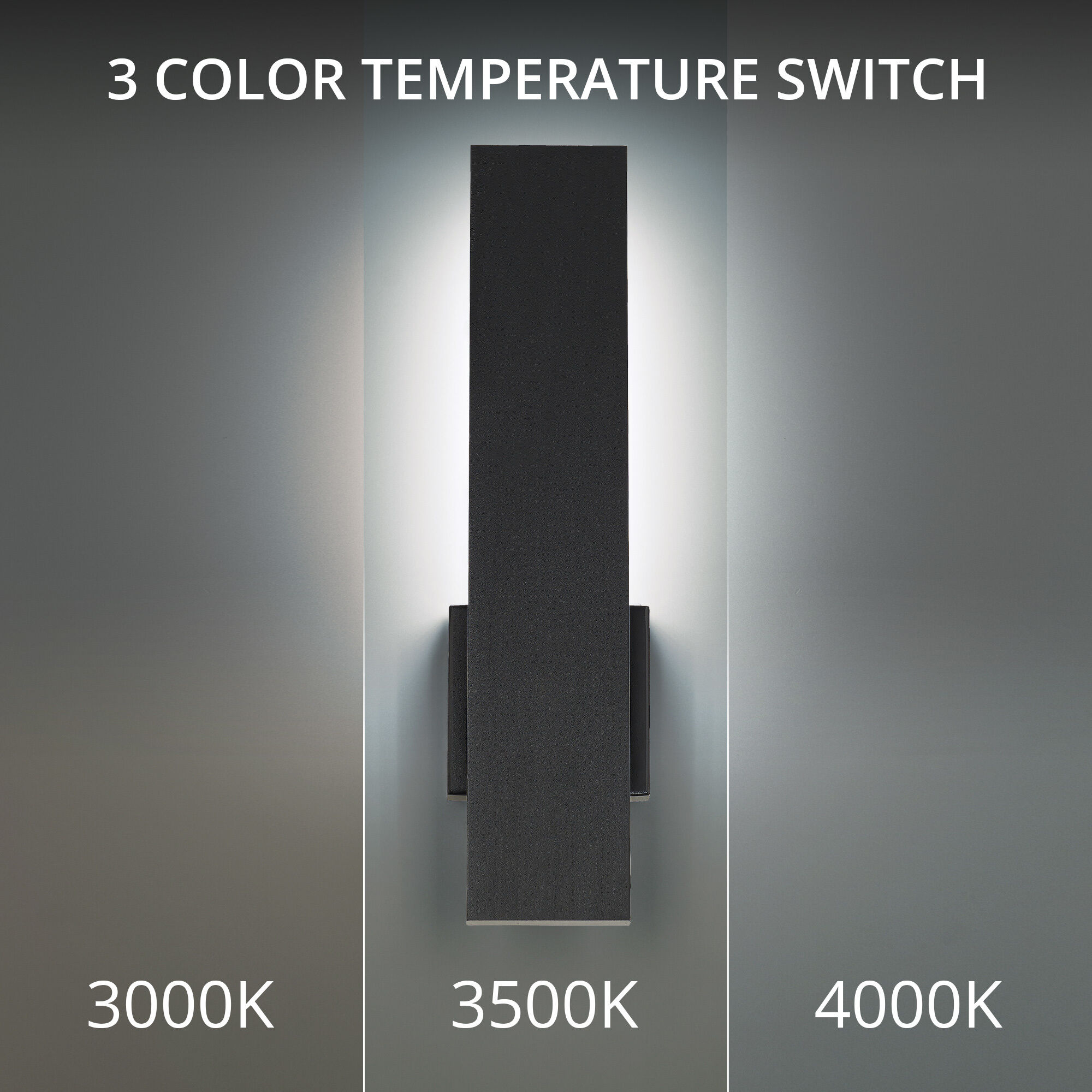 Stag LED 2.5 inch Black Outdoor Wall Light in 3000K, dweLED