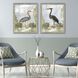 Animals Collection Blue Framed Art