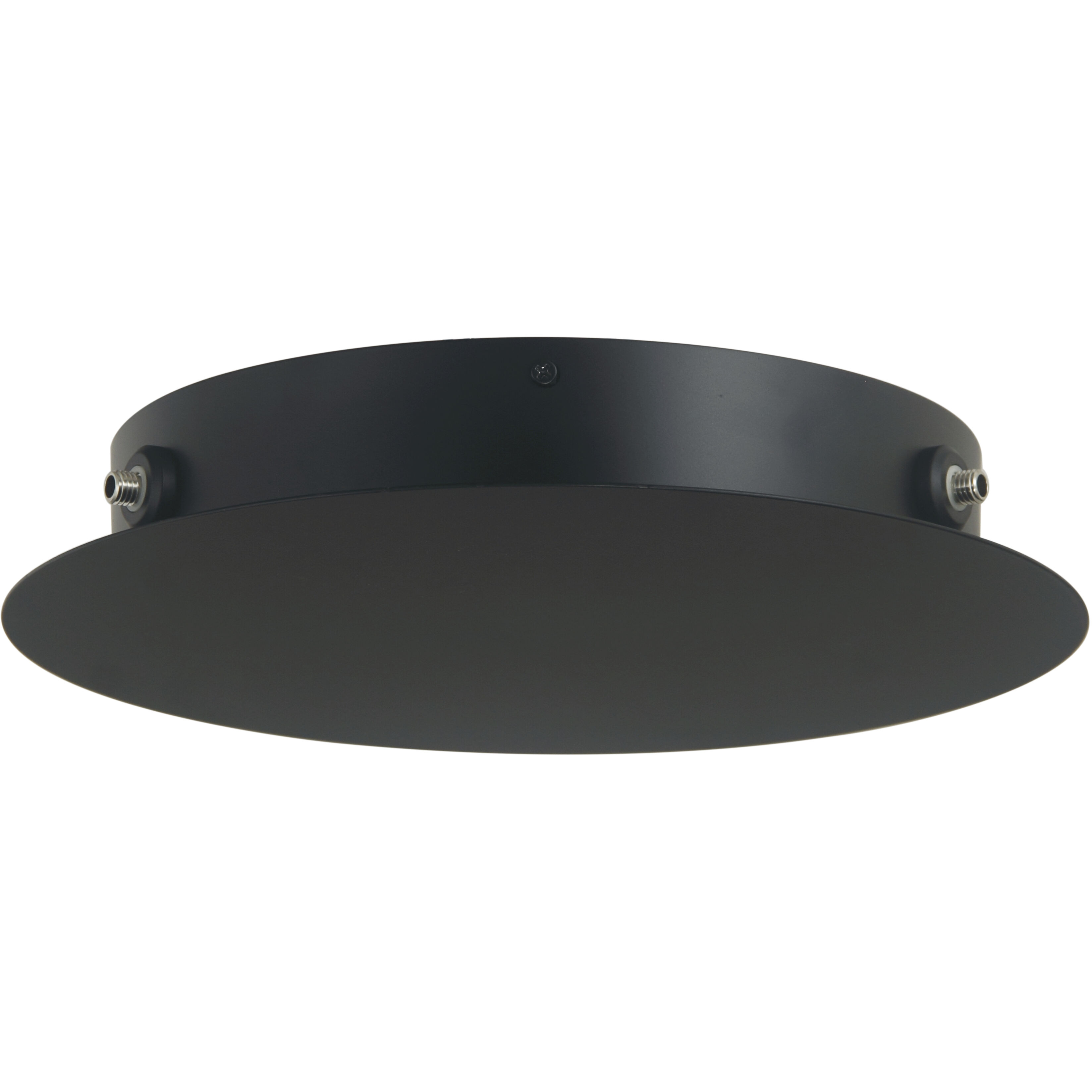 Canopy 3 Light 12.20 inch Lighting Accessory