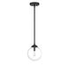 Industrial 1 Light 8 inch Matte Black Mini-Pendant Ceiling Light