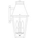 Croydon 3 Light 16 inch Antique Copper Outdoor Wall Mount in Clear Seedy