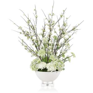 Queen Anne's Garden White Botanical, Botanical/Floral