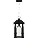 Brampton 1 Light 10 inch Matte Black Outdoor Hanging Lantern