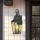 Cardigan Outdoor Wall Mount in Sand Coal and Olden Brass, Great Outdoors