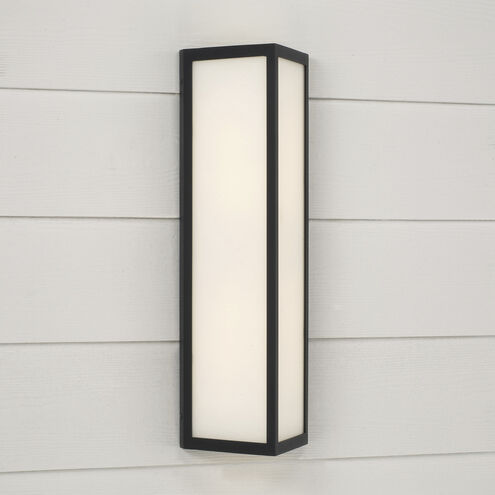 Irvin LED 22.5 inch Black Outdoor Wall Lantern