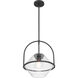 Coralyn 1 Light 13.25 inch Dark Matte Black Pendant Ceiling Light