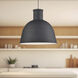 Irving 1 Light 15.75 inch Black Pendant Ceiling Light