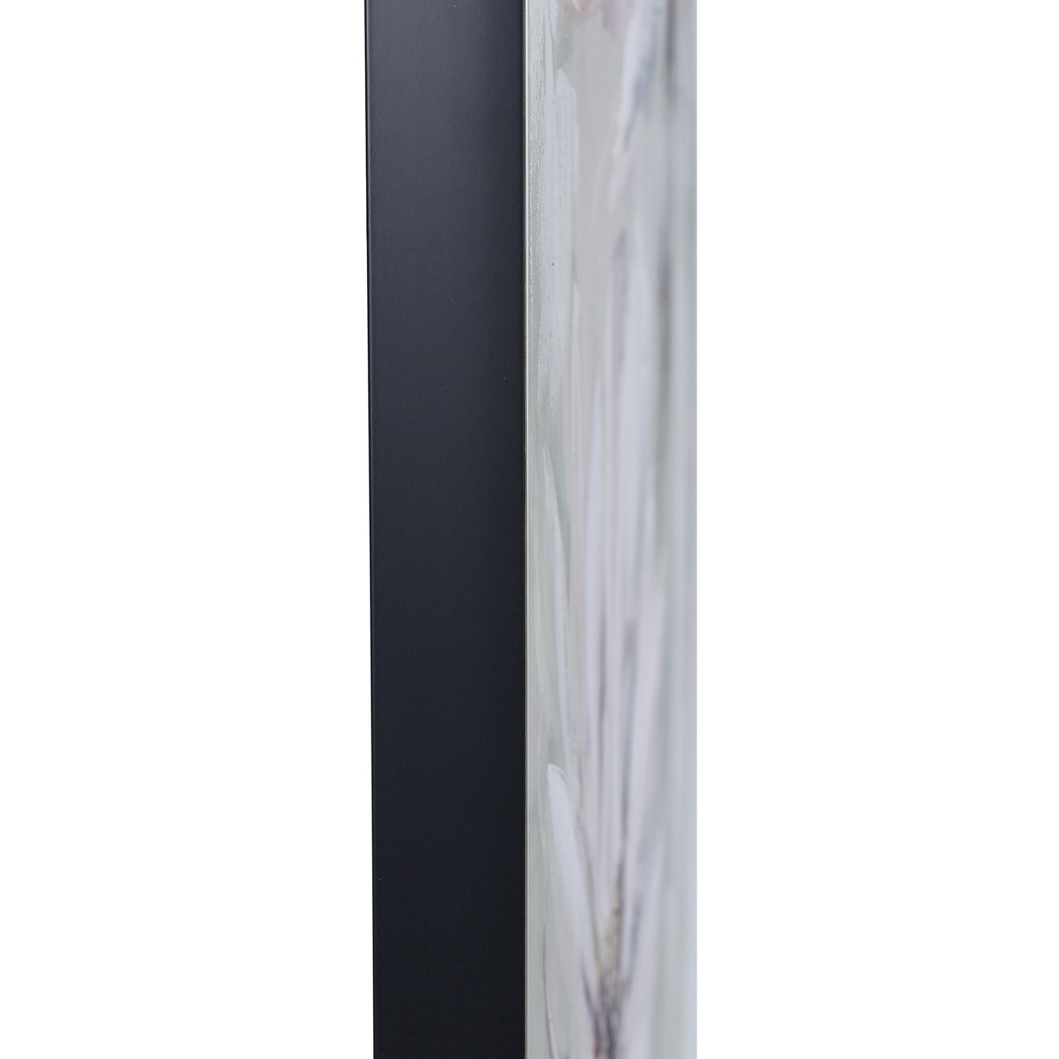 White Flowers White Wall Art