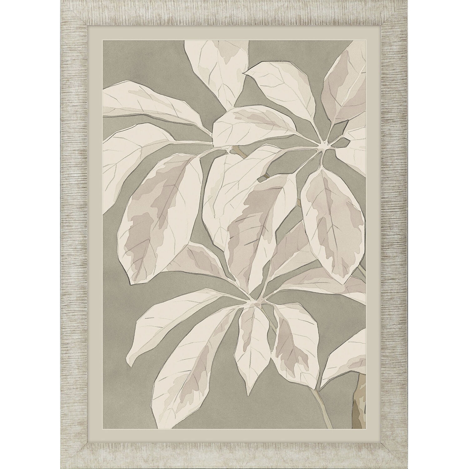 Lucky Plant Focus Gray and Neutral and Brown and Multi Framed Art, Propac
