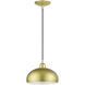 Domma 1 Light 10 inch Soft Gold with Polished Brass Accents Pendant Ceiling Light