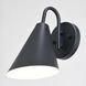 Hanson LED 9.5 inch Matte Black and White Outdoor Wall