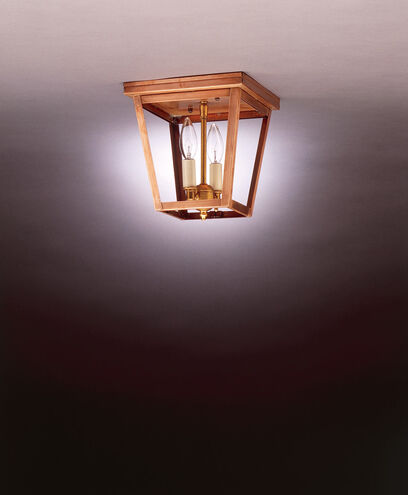 Williams 2 Light 8 inch Antique Copper Flush Mount Ceiling Light in Clear Glass