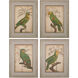 Giclee Under Glass Natural Wall Art, Parrot and Palm I, II, III, IV