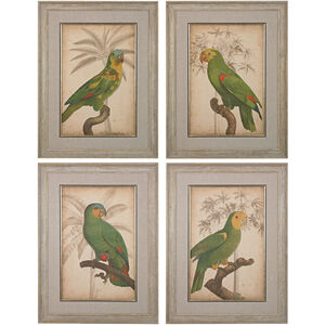 Giclee Under Glass Natural Wall Art, Parrot and Palm I, II, III, IV