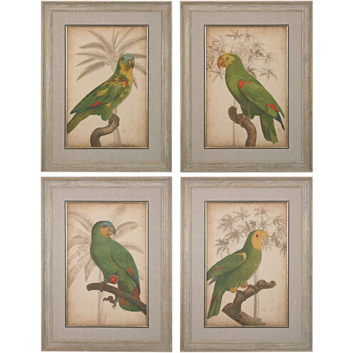 Giclee Under Glass Natural Wall Art, Parrot and Palm I, II, III, IV
