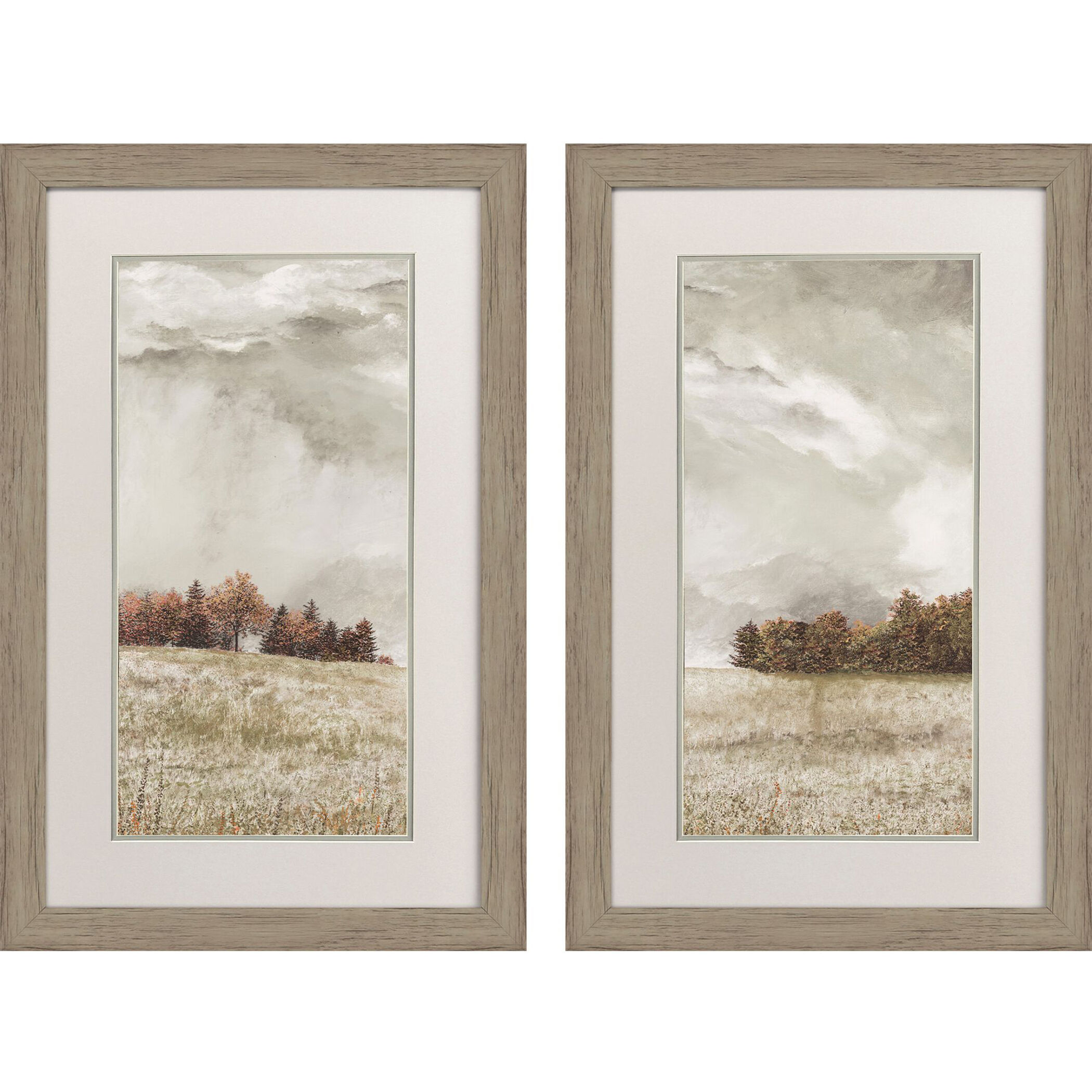 Approaching Storm Green and Rust and Orange and Beige Framed Art, Propac