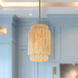 Caviana 1 Light 10 inch Signature Brass Pendant Ceiling Light