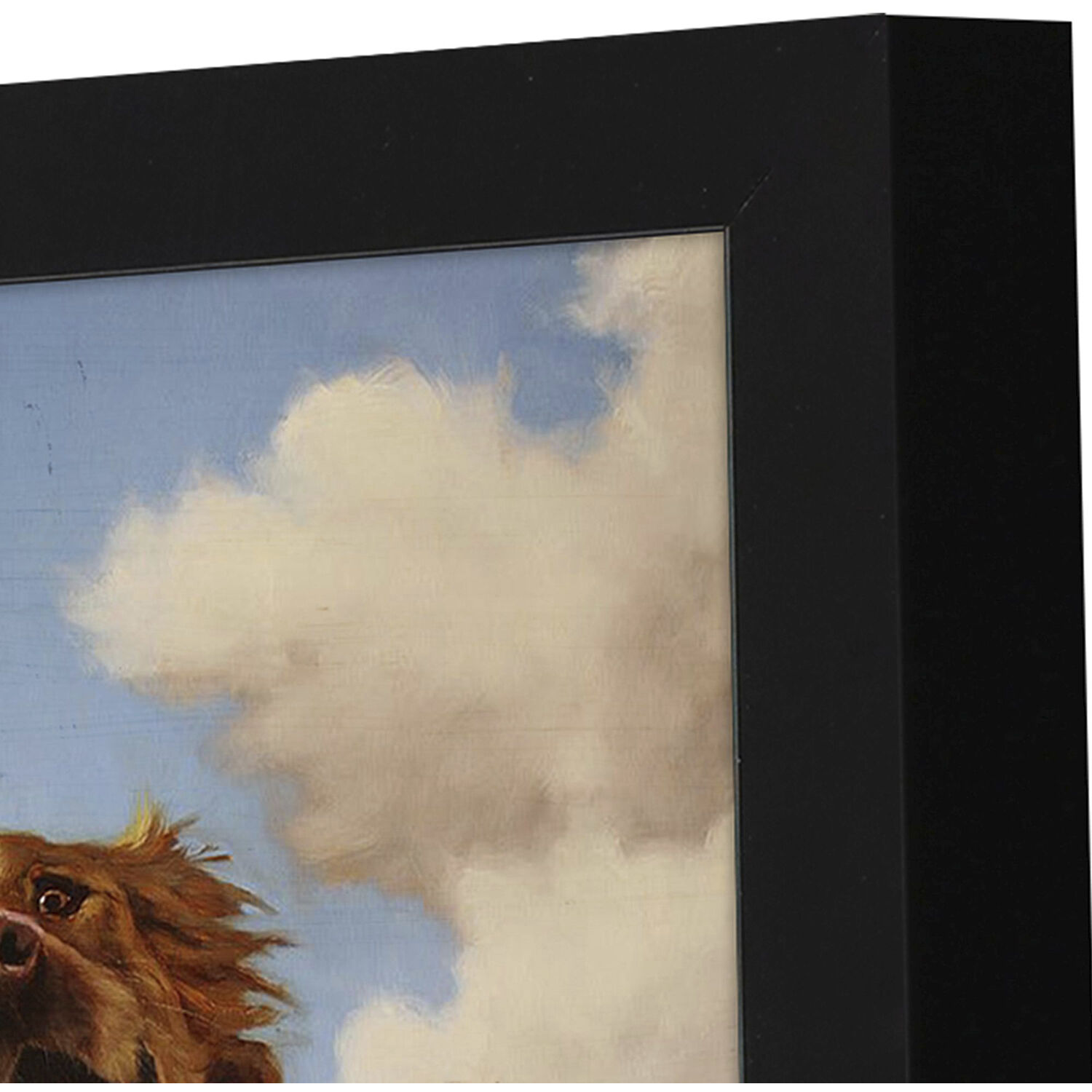 Fetch 11 X 9 inch Non-Glass Framed Art, Propac