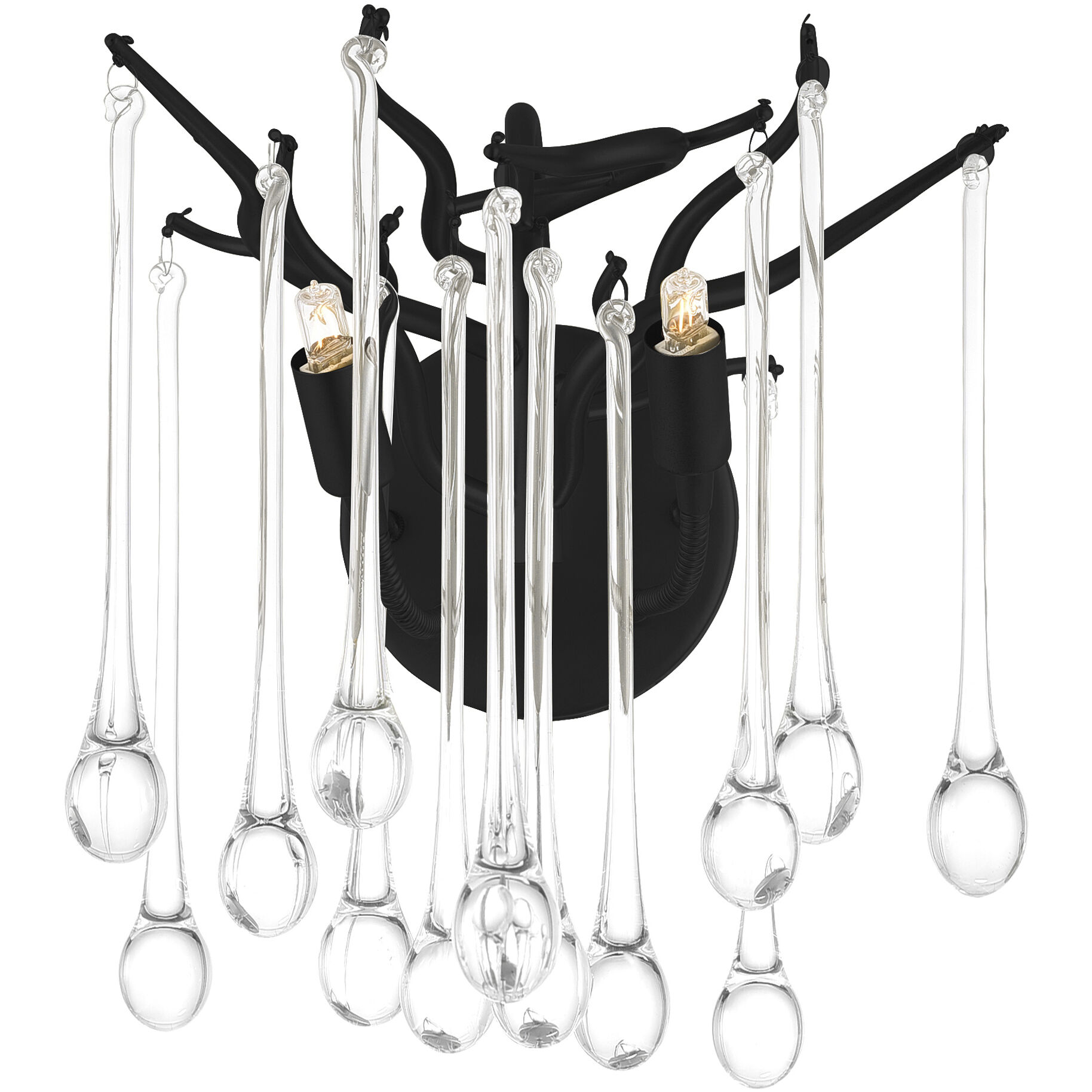 Anita 2 Light 10 inch Black Wall Light