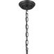 Adeena 6 Light 26.75 inch Black Chandelier Ceiling Light