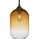 Omega 12 1 Light Black Stem Pendant Ceiling Light