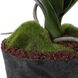 Laris White and Green Orchid Drop-In