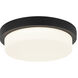 Durham 1 Light 12.88 inch Flush Mount