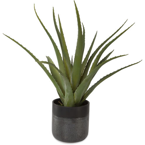 Tucson Textured Matte and Gloss Glazes Aloe Planter