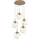 Aster LED LED Novel Brass Chandelier Ceiling Light, Round Multi-Pendant