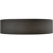 Rosata LED 20 inch Black Indoor Flushmount Ceiling Light