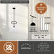 Madrona 1 Light 14 inch Black Pendant Light Ceiling Light