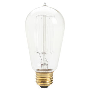 Accessory Incandescent S21 E26 (Medium) 60.00 watt 120 Light Bulb